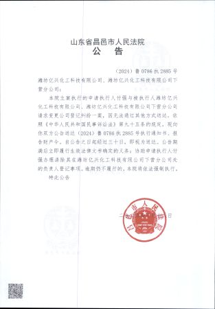 (2024)鲁0786执2885号公告